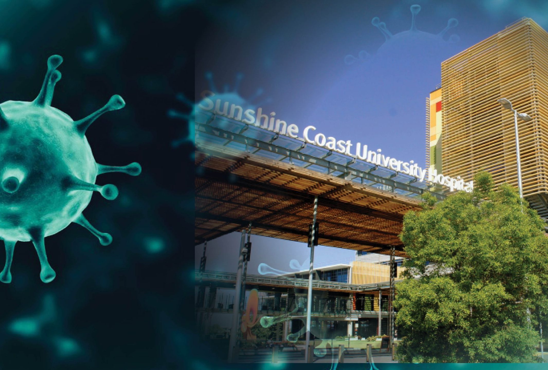 covid variant sunshine coast university hospital