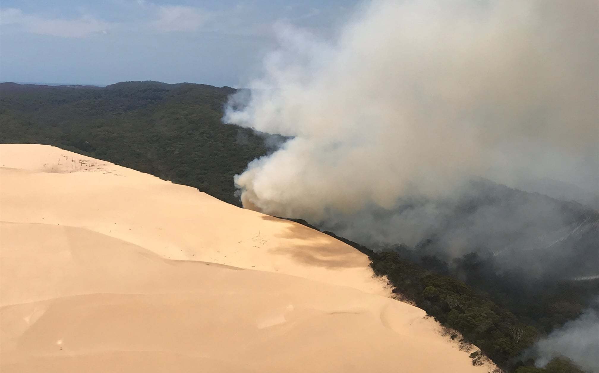 fraser island sunshine coast news