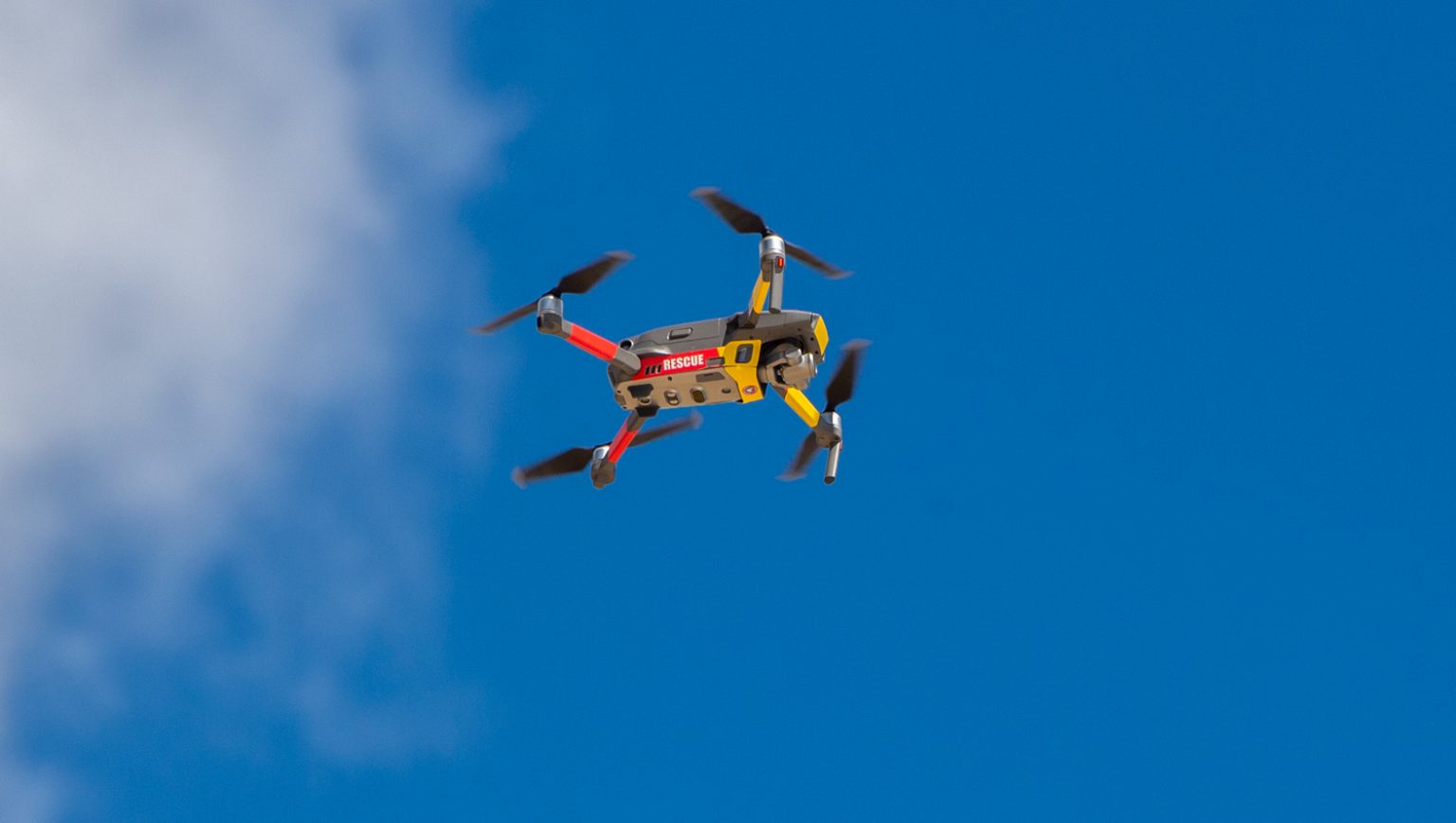 Shark-spotting drone trial's Sunshine Coast surprise