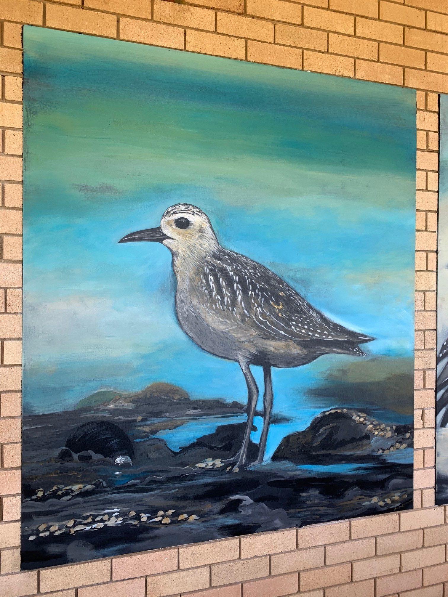 Mural raises awareness about living alongside 'precious' shorebirds