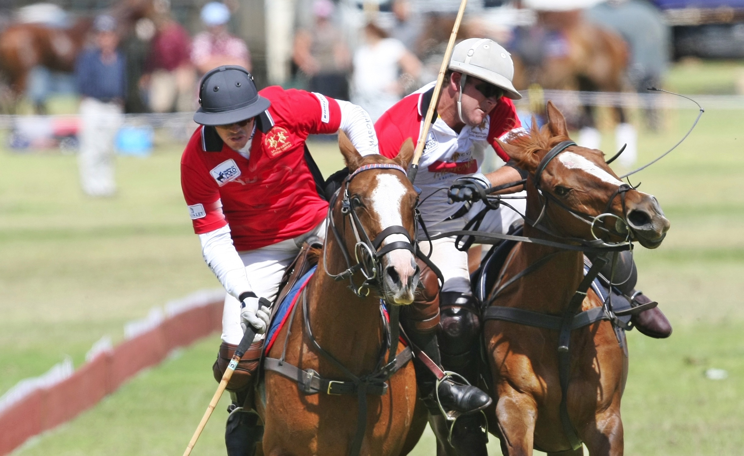 'Polo by the sea' set to attract thousands to Coast