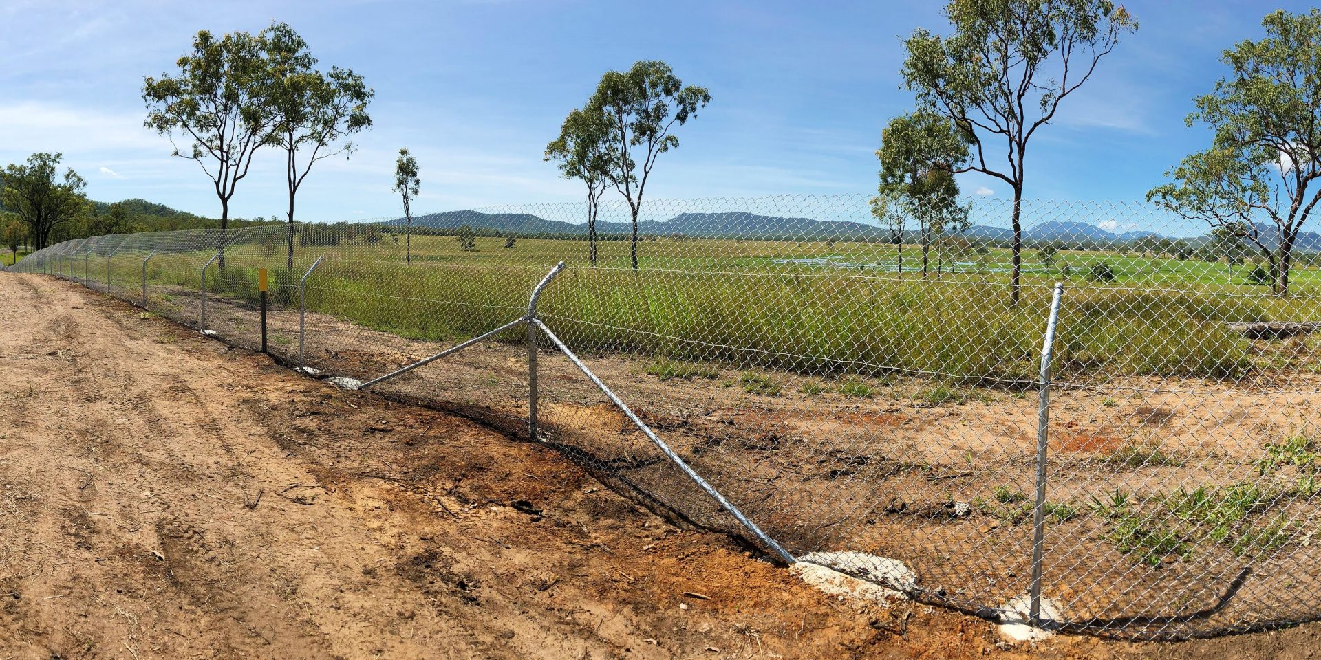 $5 million funding to stop koalas crossing Sunshine Coast roads