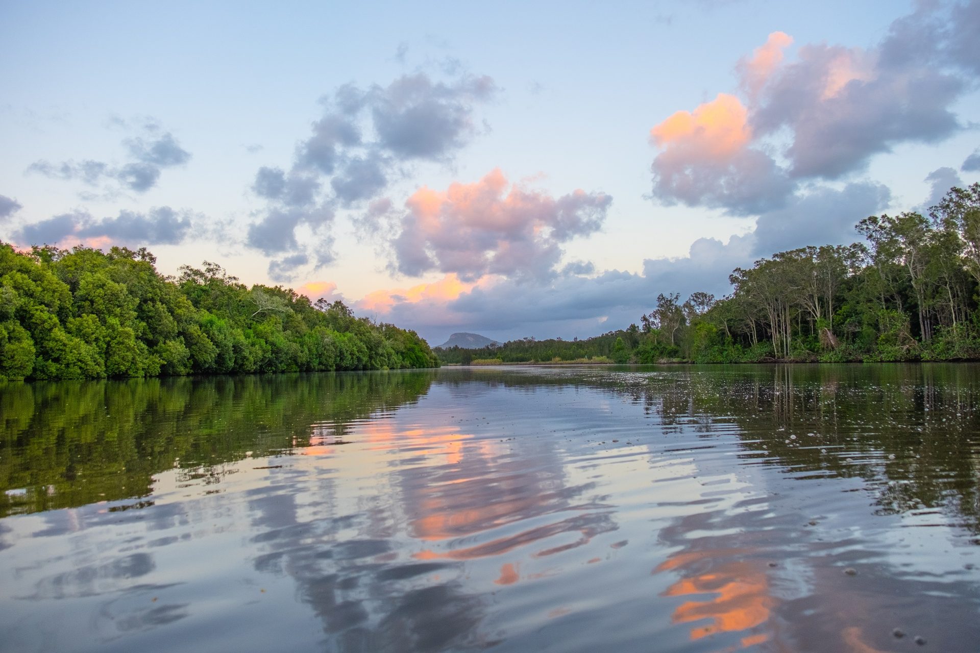 How The Maroochy Floodplain Could Be A Climate Change Solution   Maroochy River 1920x1280 