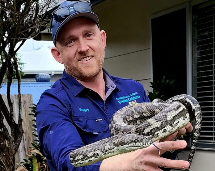 Snake catcher Stuart McKenzie finds social media stardom in unexpected  career 