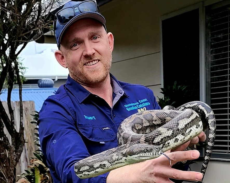 Check out this beautiful little carpet Python. : r/snakes