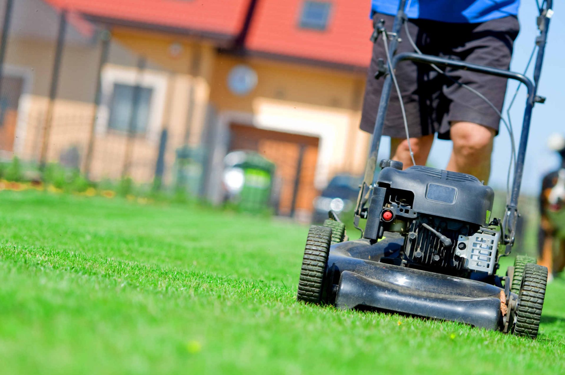 A Cut Above The Rest Coast Man Aims To Mow Down Record