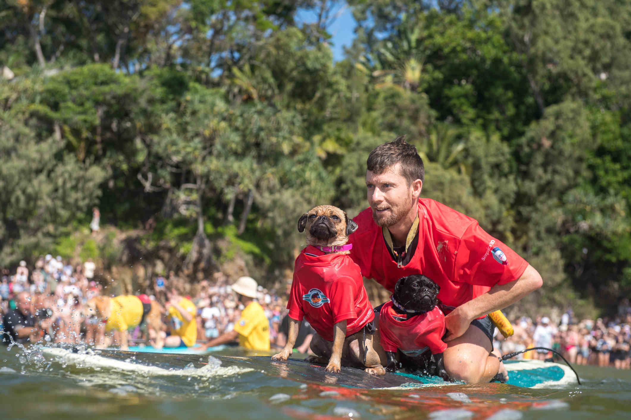 People and pooches poised for famed surf festival